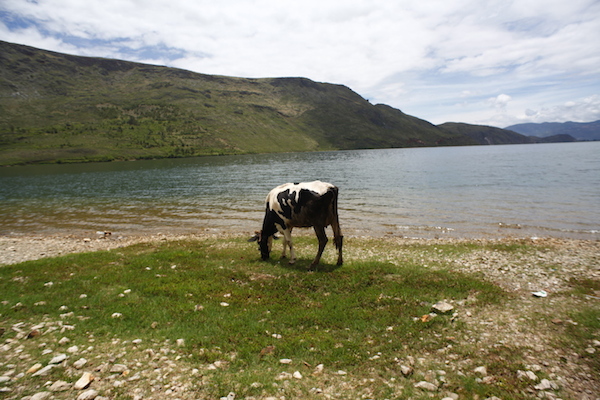 Shaxi, along the Ancient Tea Road   沙溪, 茶马古道上的驿站